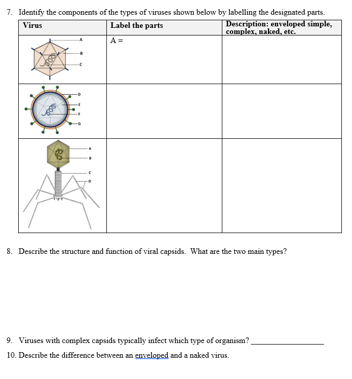 Solved 7. Identify the components of the types of viruses | Chegg.com