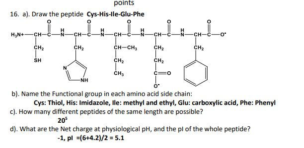 calculate pi of peptide chain