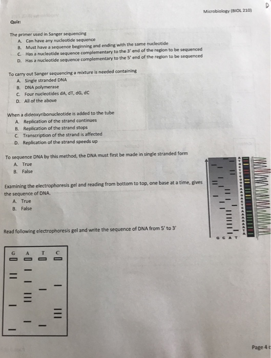 Solved Microbiology (BIOL 210) Quiz The primer used in