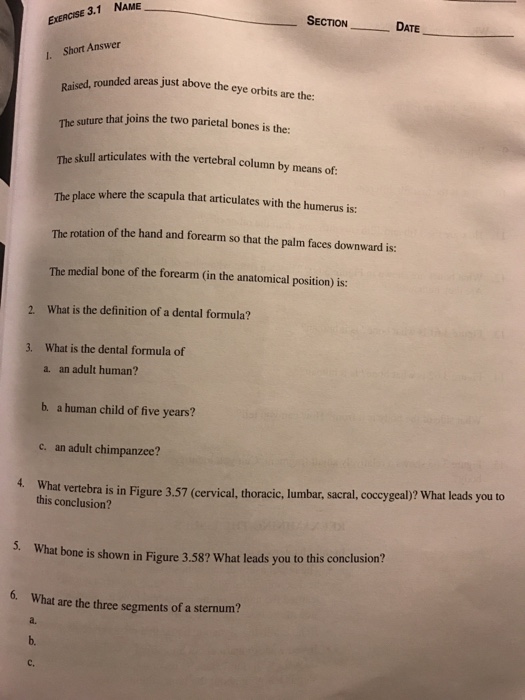 Solved EERCISE 3.1 NAME SECTION DATE NAME Short Answer | Chegg.com