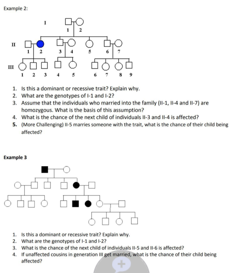 Solved Example 2: II 972 obo 21 ooooo ooo 12 E 1 2 3 4 5 6 7 | Chegg.com