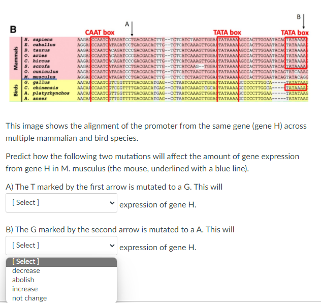 Solved The Options Are The Same For Both Parts A And B | Chegg.com