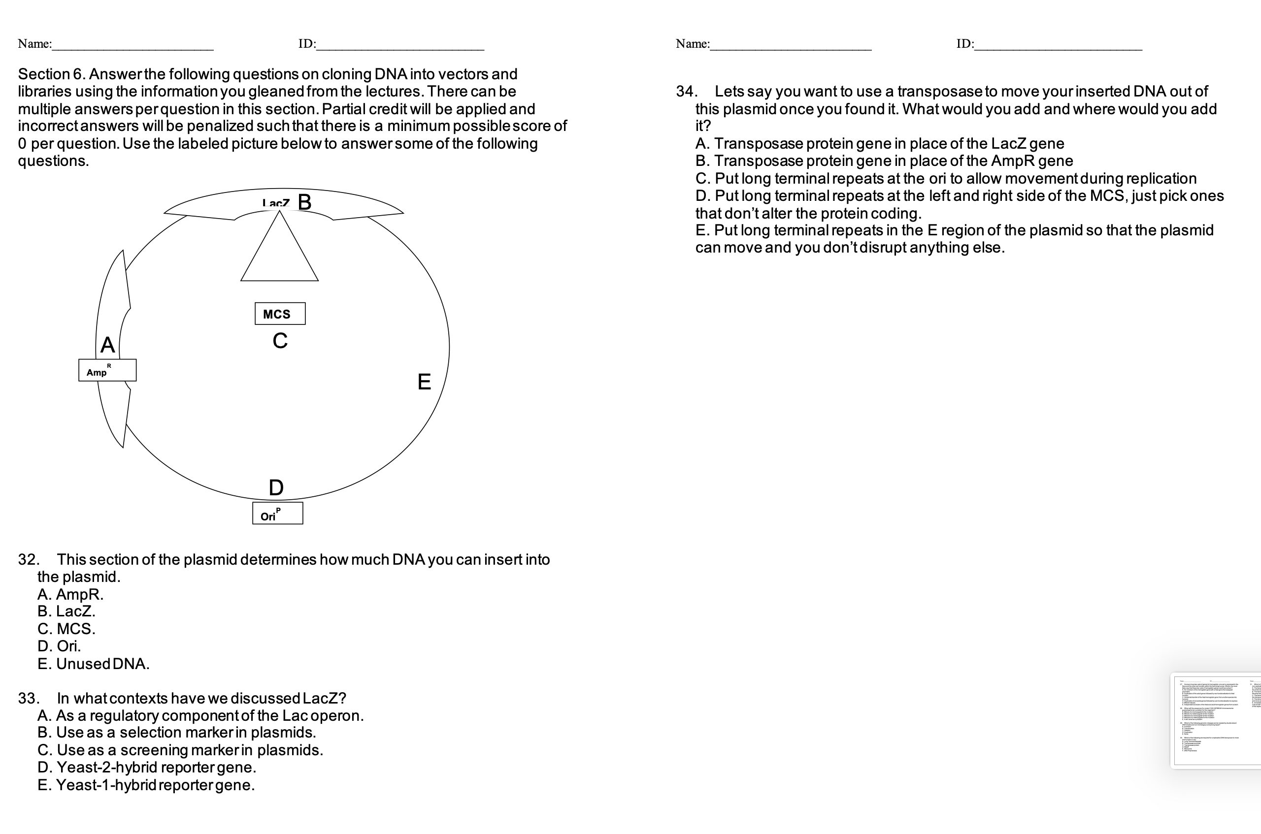 Solved Section 6. Answer the following questions on cloning
