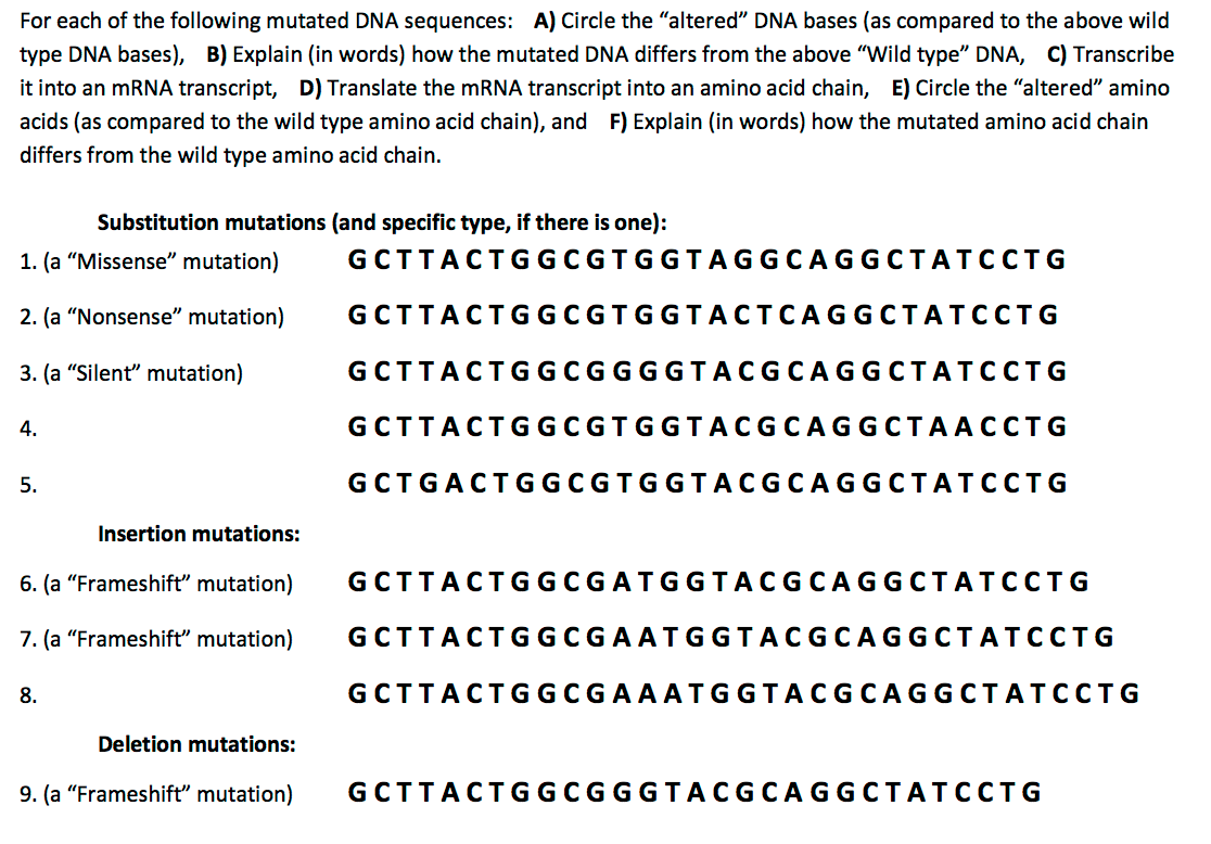 Solved For The Following Sequence Of Dna Transcribe It Into Chegg Com