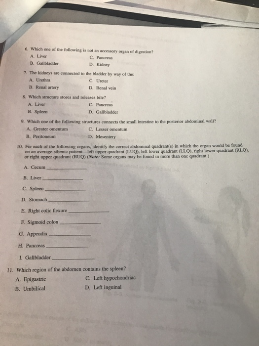 Solved 6. Which one of the following is not an accessory