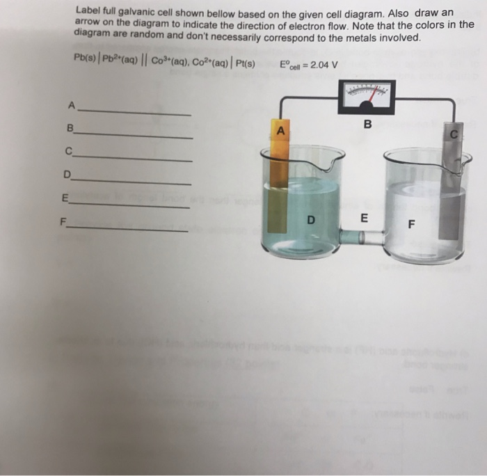 Solved Label full galvanic cell shown bellow based on the | Chegg.com