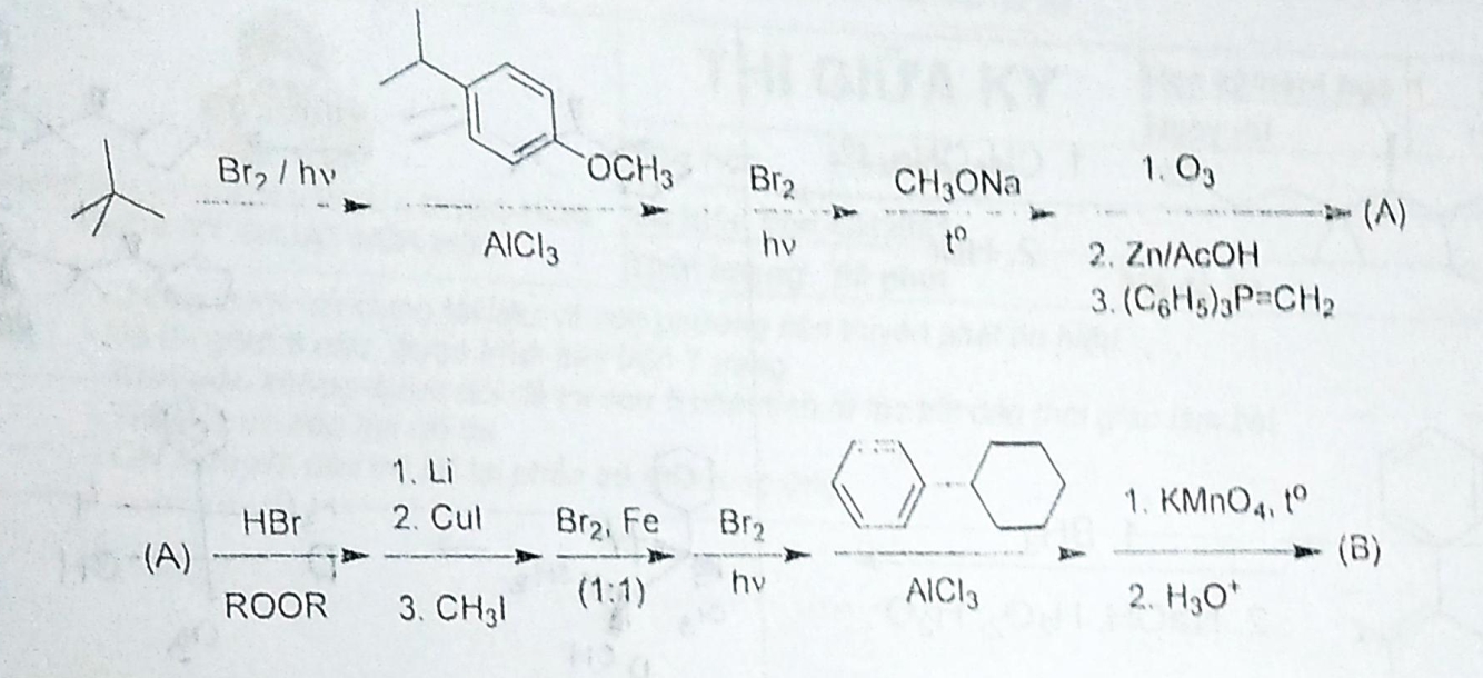 \( \mathrm{Br}_{\text {, / hv }} \) \[ \frac{\mathrm{Br}_{2}}{h v}-\frac{\mathrm{CH}_{3} \mathrm{ONa}}{t^{\circ}} \] 1. \( \m