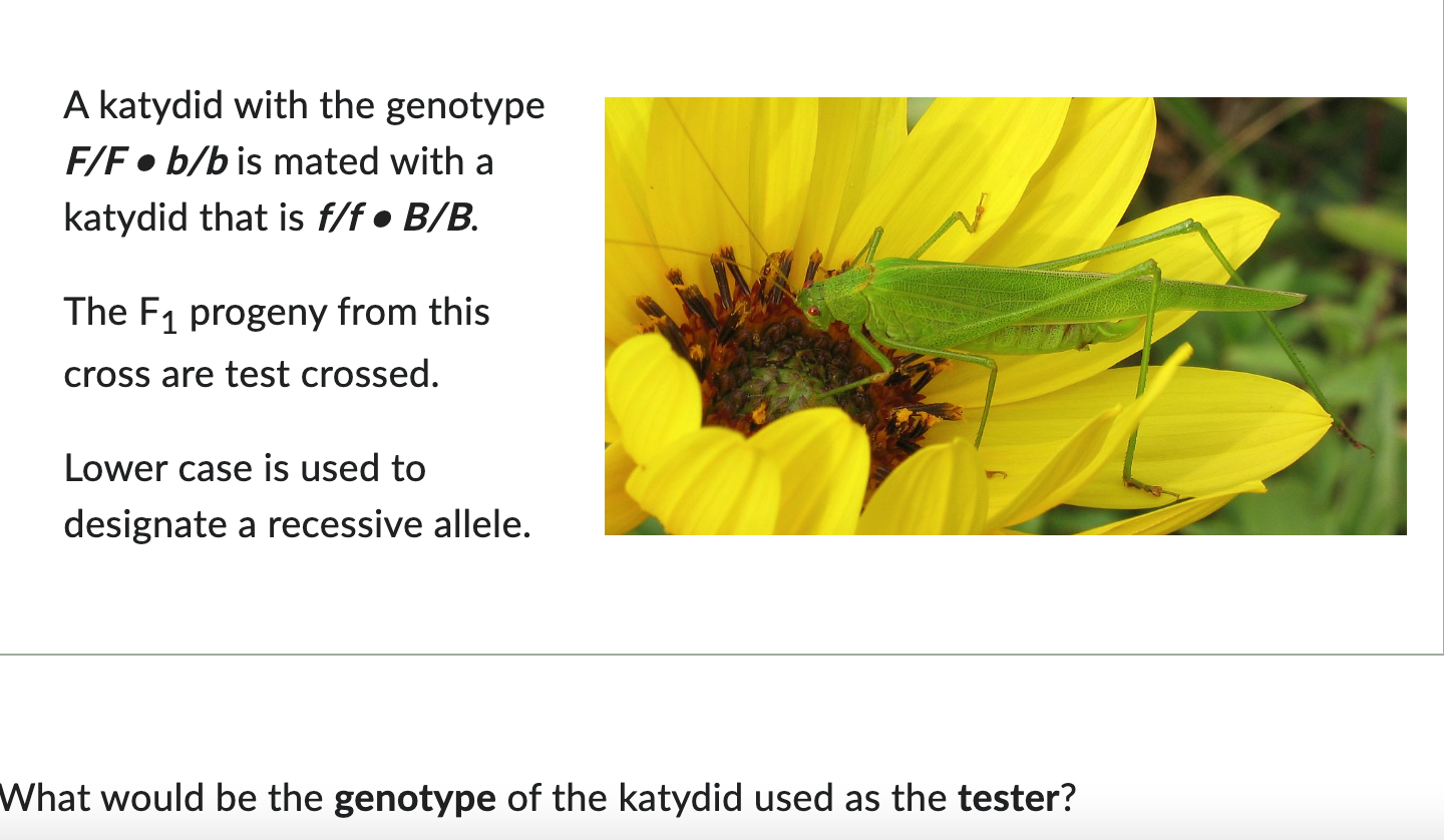 Image Result For E B B E Bb Ef Bc E B B E F E C Af E Af Ad Ef Bc E Be E Ba A E Be E A