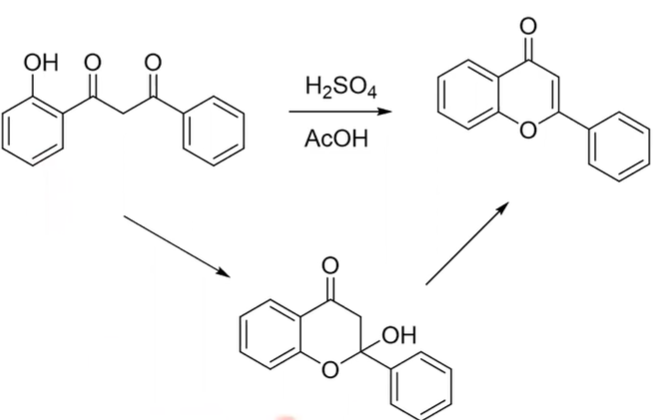 Solved AcOH H2SO4 | Chegg.com