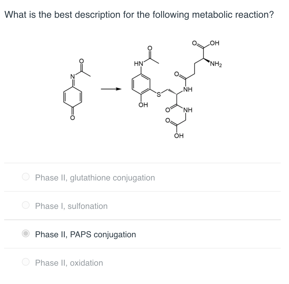 how is glutathione conjugation different from Metabolism - an overview Solved What is the best