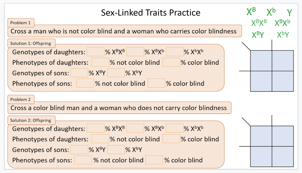 Solved Dominance in Horse Coat Color In horses, a