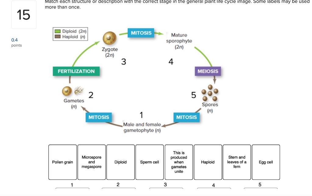 00 Investigating Life 16.1: Reading a graph Review | Chegg.com