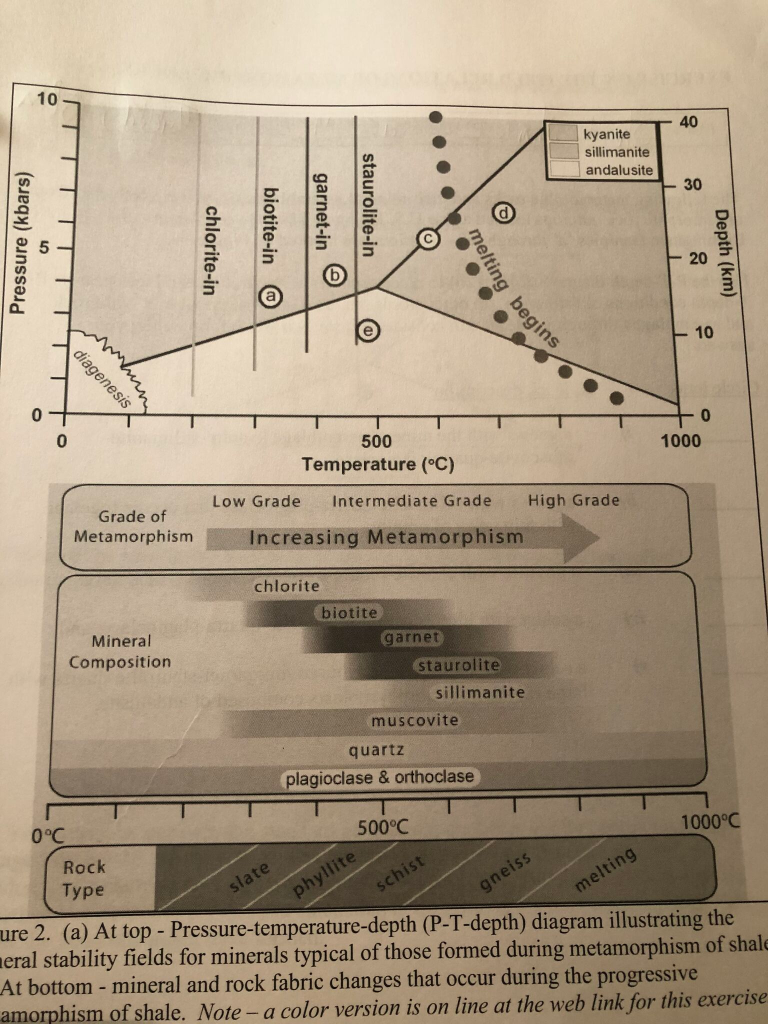 Solved The following metamorphic rocks and their mineral | Chegg.com