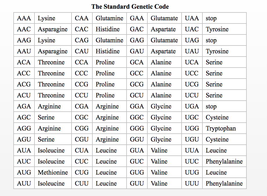 Solved B) If this mRNA is translated beginning with | Chegg.com