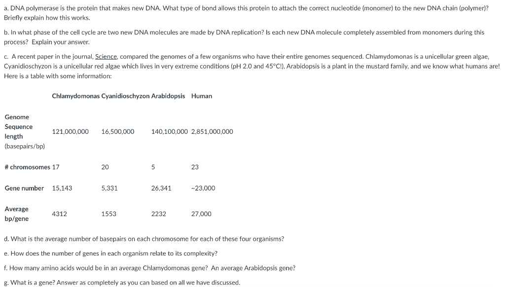 Solved a. DNA polymerase is the protein that makes new DNA. | Chegg.com