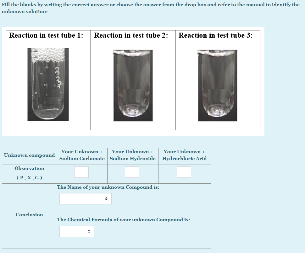 Solved Hydrochloric acid Lead(II) nitrate calcium
