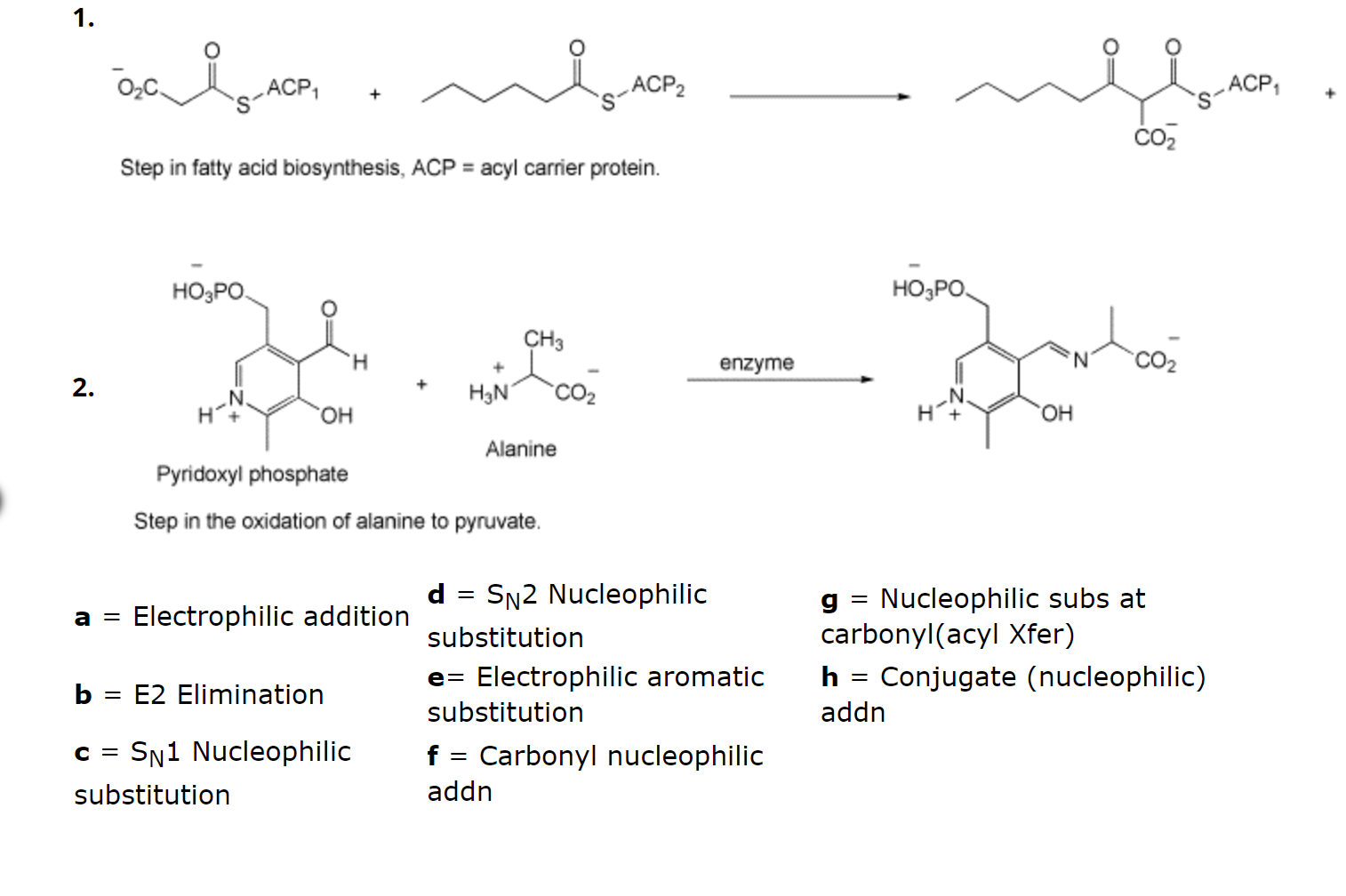 Solved 1. Step in fatty acid biosynthesis, ACP = acyl | Chegg.com