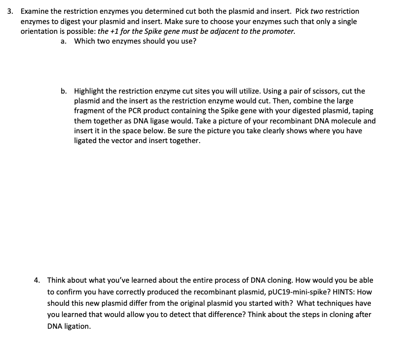Solved The discovery of restriction enzymes, proteins that | Chegg.com