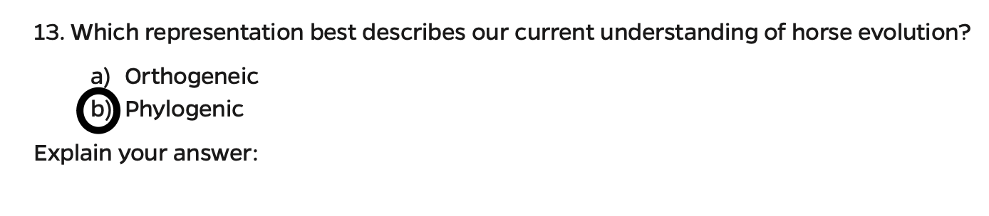 Solved Explain why the answer is b) for questions 12 and 13. | Chegg.com
