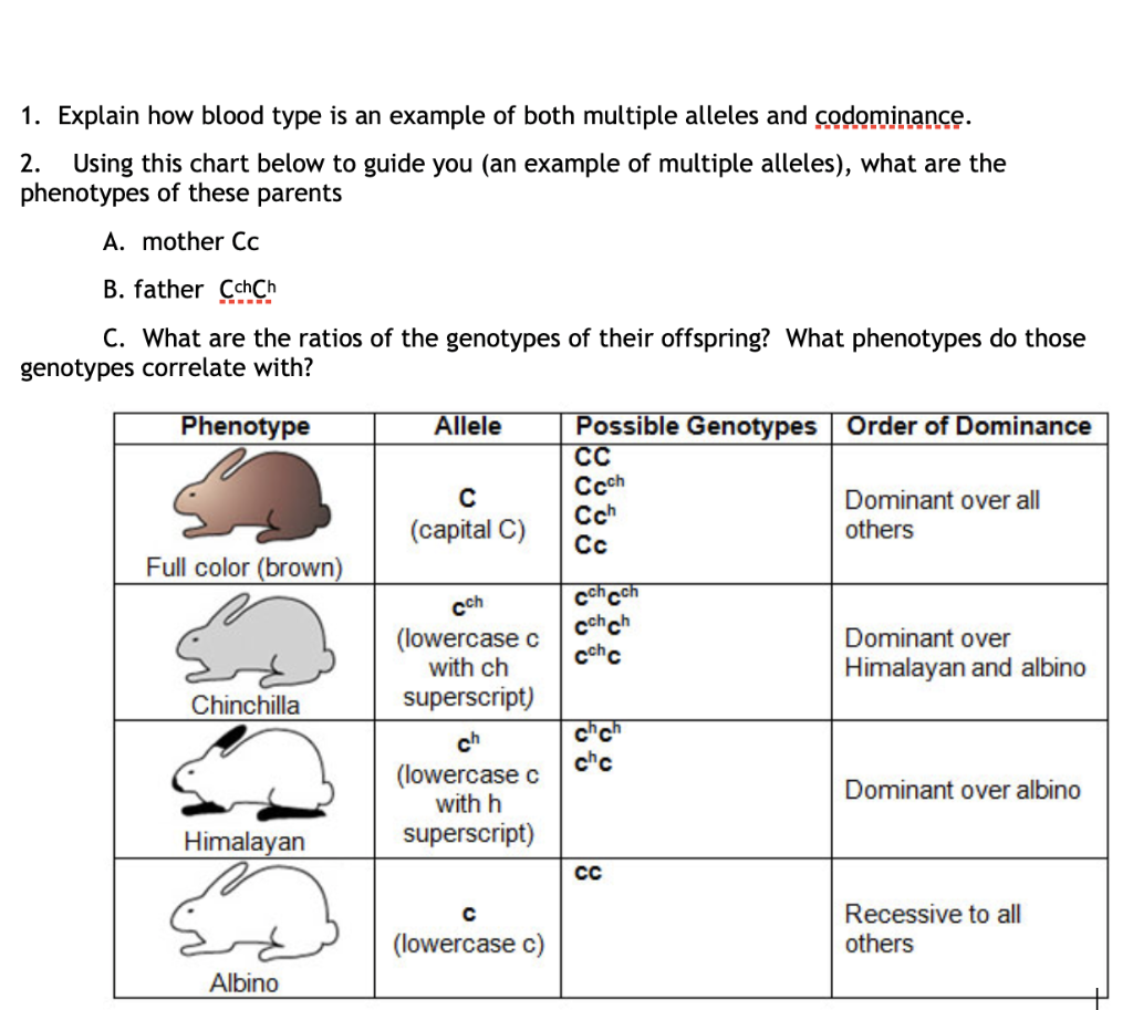 solved-1-explain-how-blood-type-is-an-example-of-both-chegg