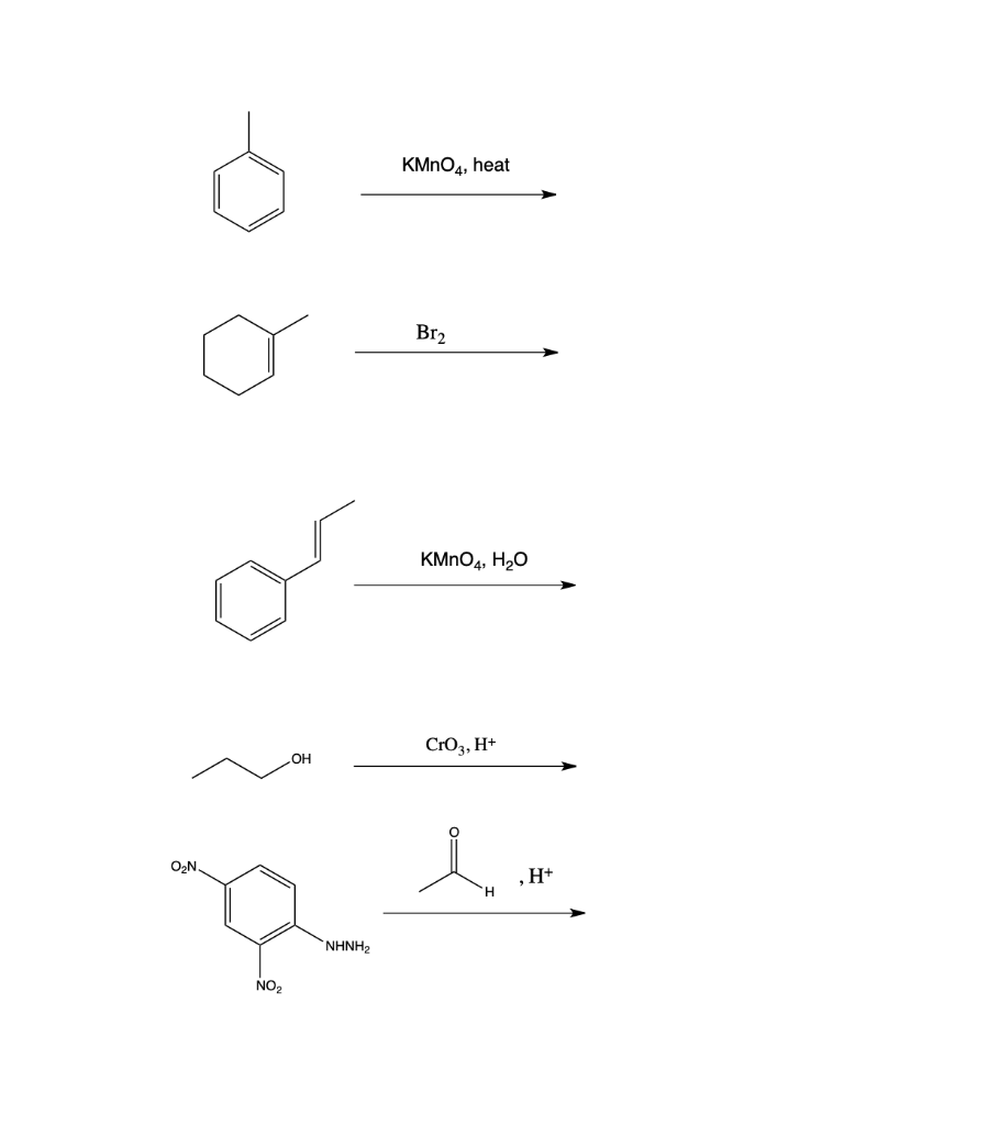 Solved KMnO4, heat Br2 KMnO4, H2O CrO2, H+ NHNHA NO2 | Chegg.com