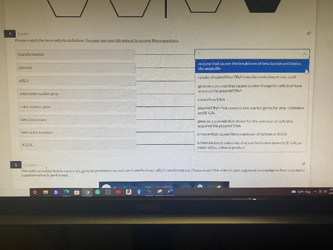 Solved 4 1 point Please match the term with its definition. | Chegg.com