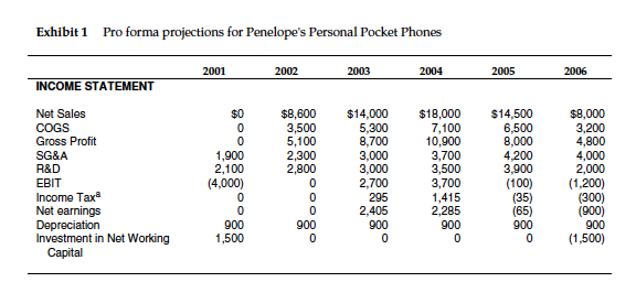 Penelope Phone Pocket