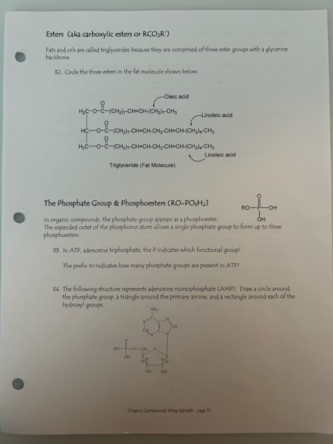 Solved Esters (aka carboxylic esters or RCO2R′ ) Fats and | Chegg.com