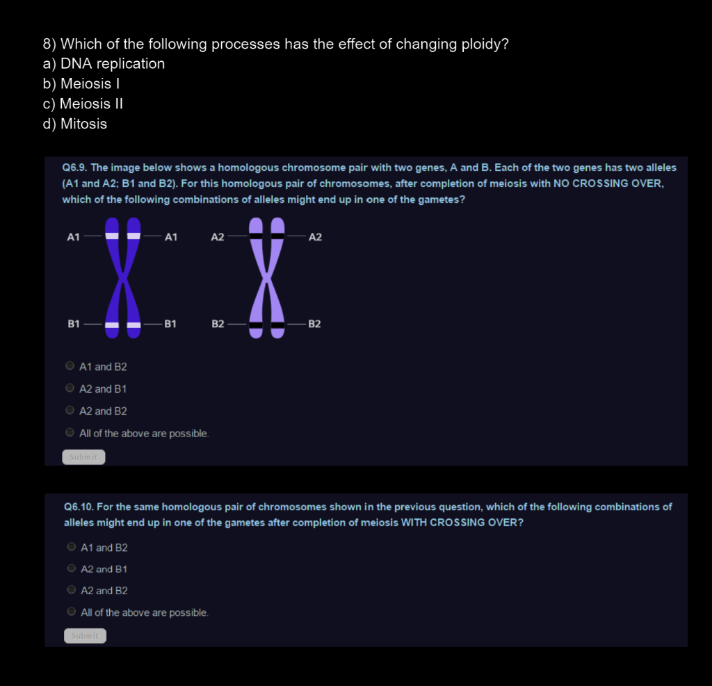 8) Which of the following processes has the effect of changing ploidy?
a) DNA replication
b) Meiosis I
c) Meiosis II
d) Mitos