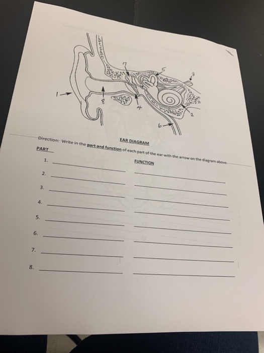 Solved EAR DIAGRAM Direction:-Write in the part and function | Chegg.com