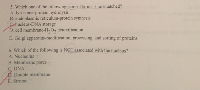 Solved of the following is NOT true for an enzyme-catalyzed | Chegg.com