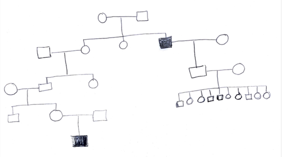 Determine whether the pattern of inheritance shown | Chegg.com