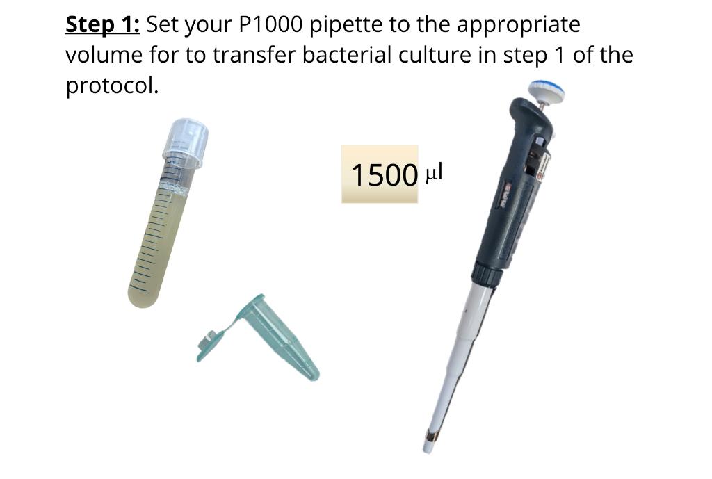 Solved Step 1 Set your P1000 pipette to the appropriate