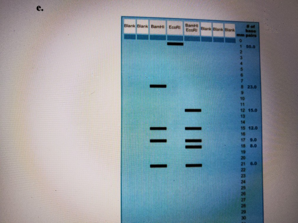 Solved 6. Construct A Restriction Map For Each Of The | Chegg.com