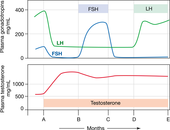 Porno rasmlar Porno kuchli jinsiy aloqa mashinalari