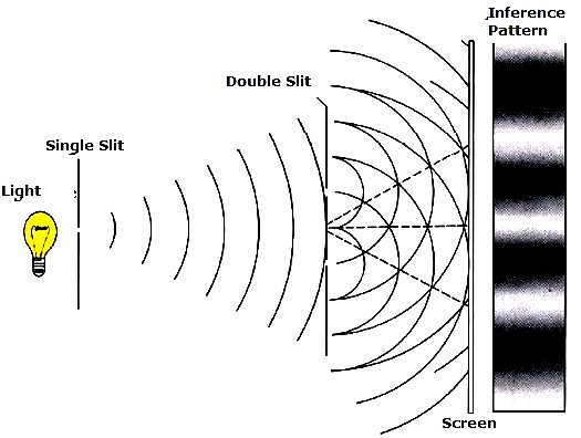 thomas young experiment on the interference of light