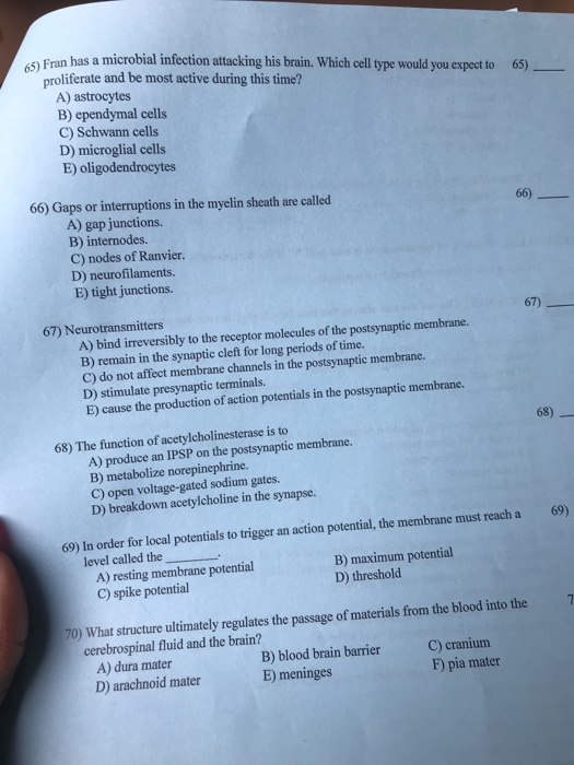 Solved 65) Fran has a microbial infection attacking his | Chegg.com