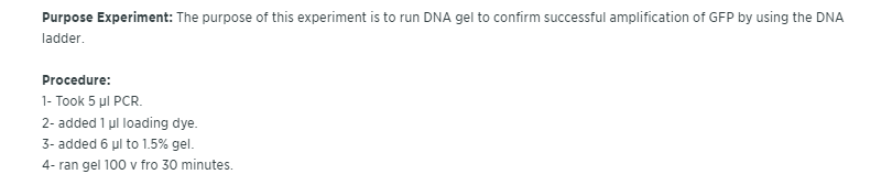 Solved Please if you understand the DNA Ladder answer this. | Chegg.com
