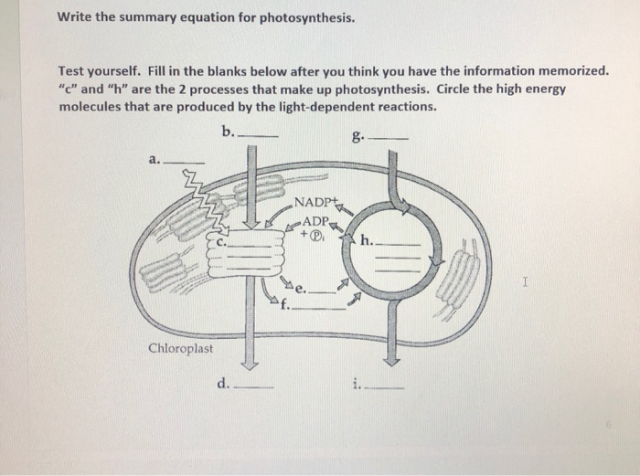 Solved Write the summary equation for photosynthesis. Test