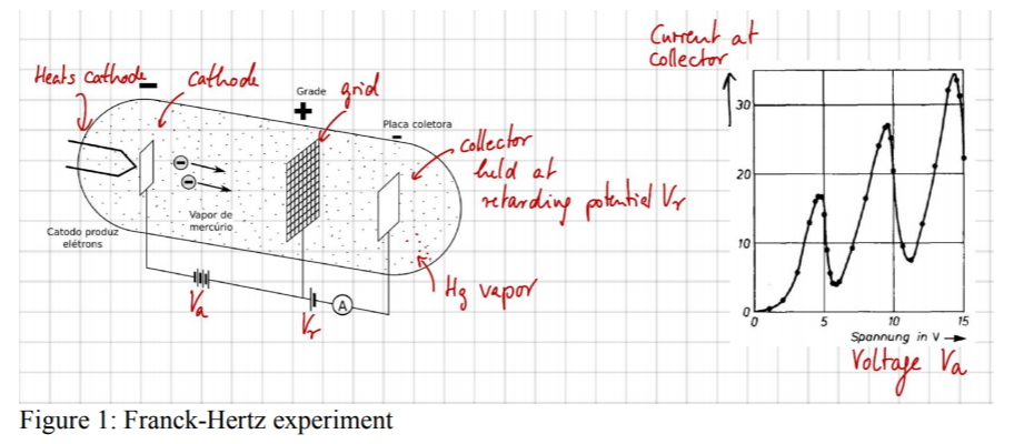 franck hertz experiment questions and answers