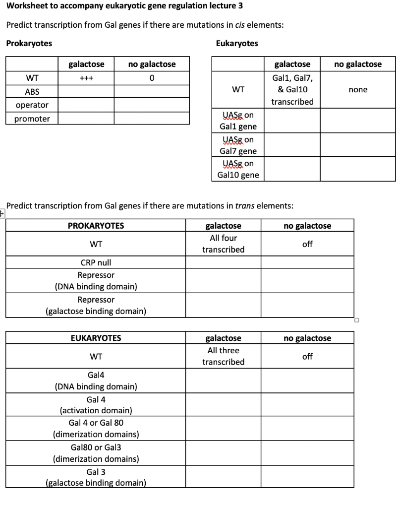 Worksheet to accompany eukaryotic gene regulation  Chegg.com Pertaining To Prokaryotes And Eukaryotes Worksheet