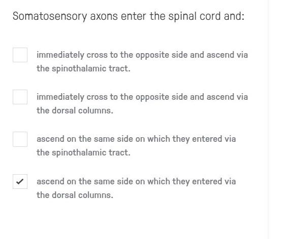 Solved Somatosensory axons enter the spinal cord and: | Chegg.com