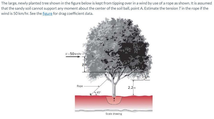 Solved The large, newly planted tree shown in the figure | Chegg.com