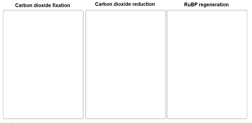 Solved Classify each of the following according to whether | Chegg.com