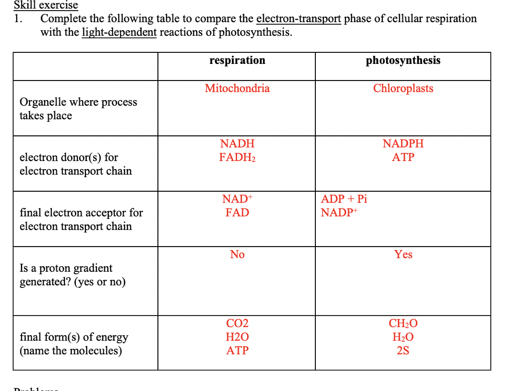 solved-skill-exercise-1-complete-the-following-table-to-chegg