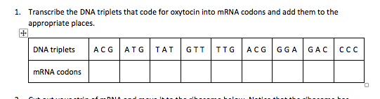 Solved 1. Transcribe the DNA triplets that code for oxytocin | Chegg.com