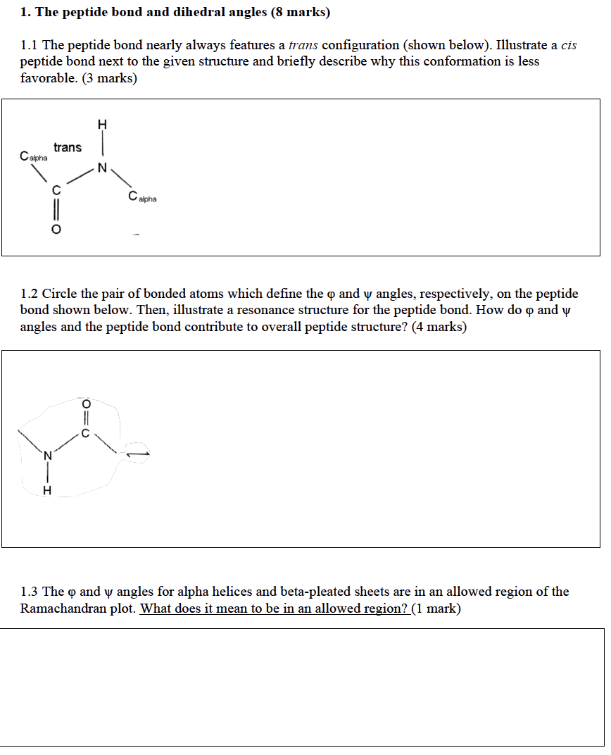 Solved 1. The peptide bond and dihedral angles (8 marks) 1.1 | Chegg.com