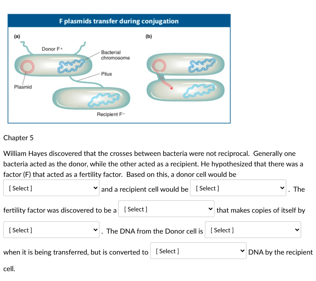 Solved Question 1a Answer options for [Select] for question | Chegg.com