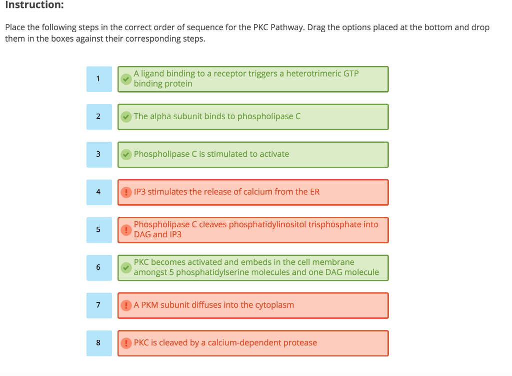 Solved Instruction Place the following steps in the correct