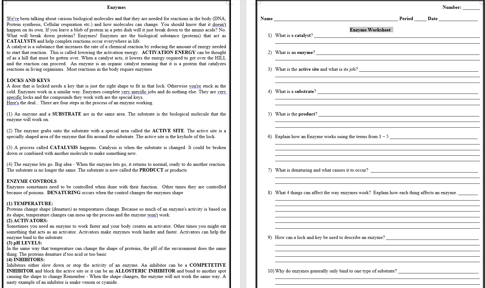 Solved Enzymes Number: Name Period Date Enzyme Worksheet 20 With Regard To Enzymes Worksheet Answer Key